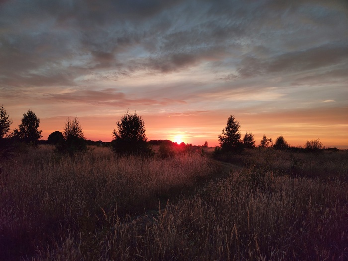 Sonnenuntergang über einem Feld